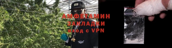индика Алексин