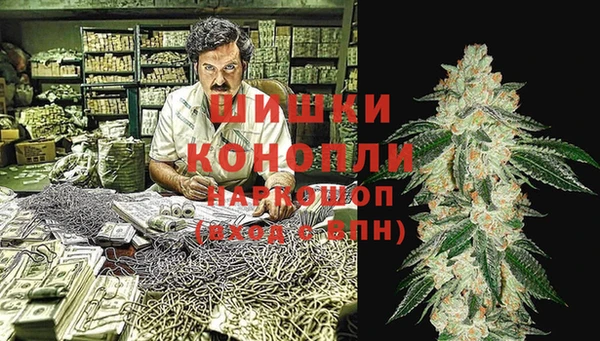 индика Алексин
