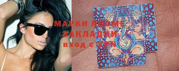 индика Алексин