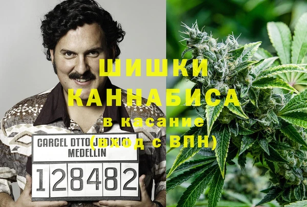 СК Алзамай