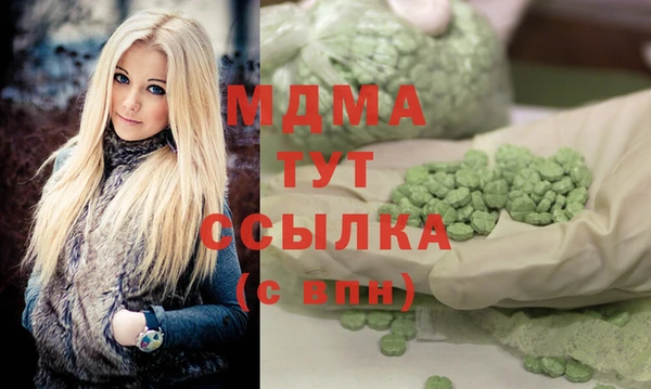 индика Алексин