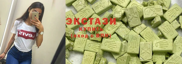 индика Алексин