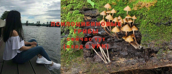 шишки Алексеевка