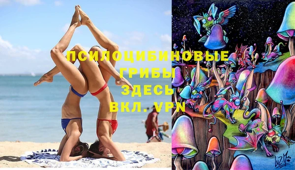 индика Алексин